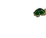 Snapping-Turtle.gif (11412 Byte)